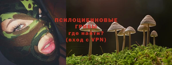 ешки Абаза