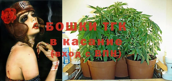 ешки Абаза