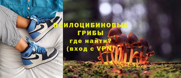 ешки Абаза